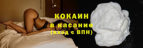дживик Алексин