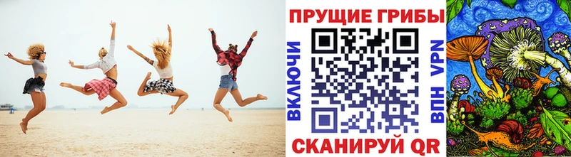 mega tor Гаврилов Посад Галлюциногенные грибы Magic Shrooms